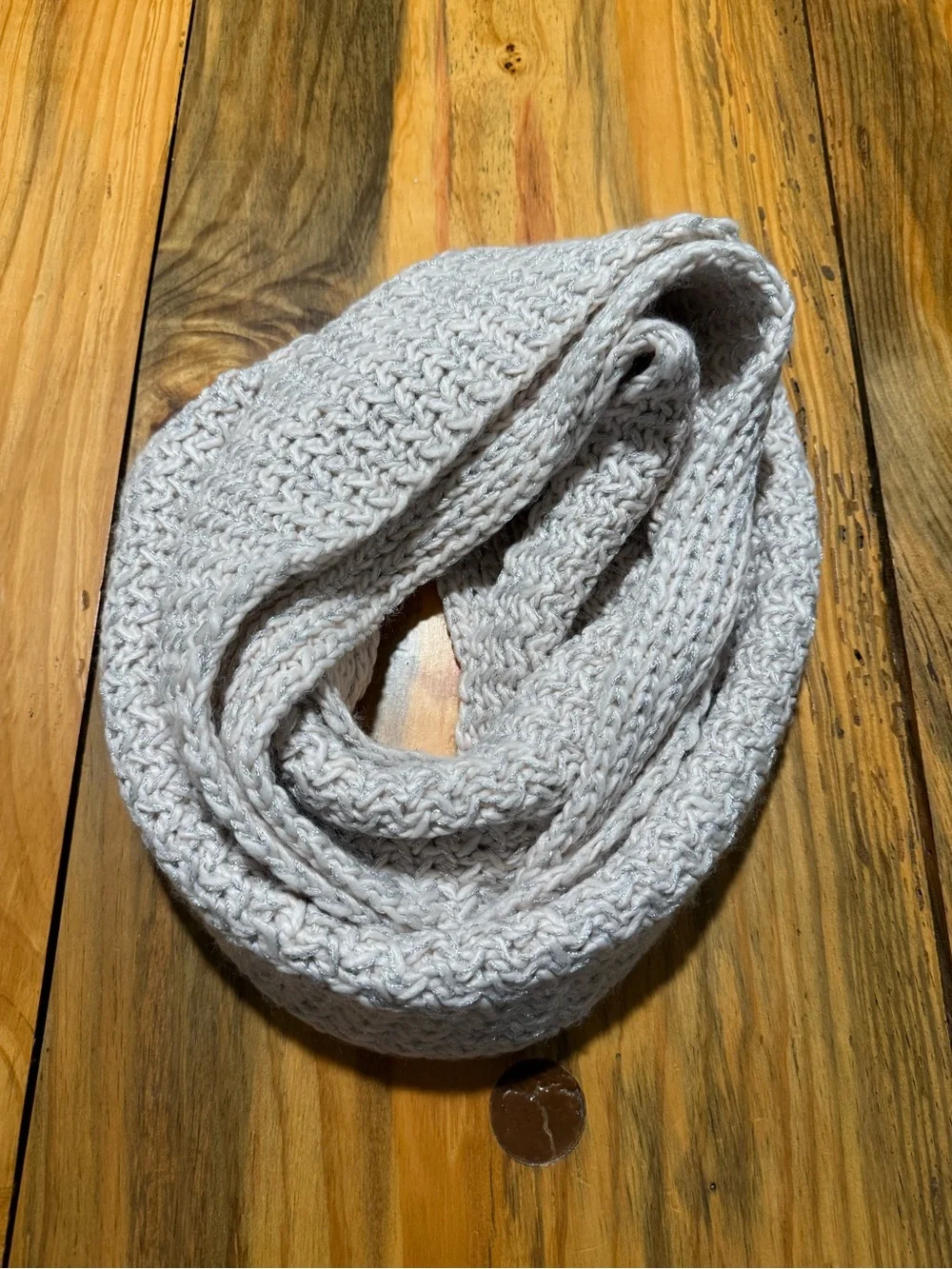 LOFT Cream Silver Knit Scarf